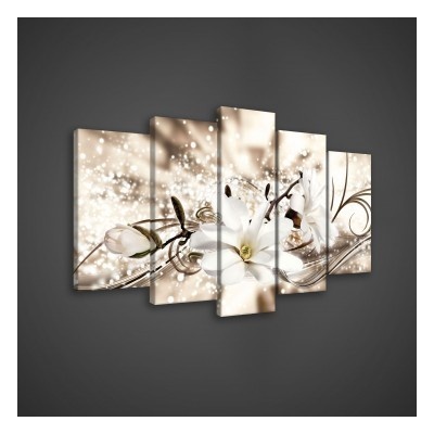 Obraz na plátne viacdielny - OB3599 - Biely kvet 100cm x 60cm - S17