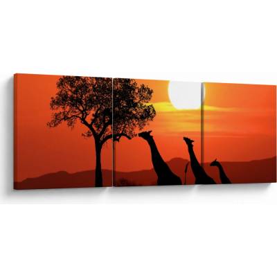 Obraz žiraf při západu slunce, třídílný 90x30 cm
