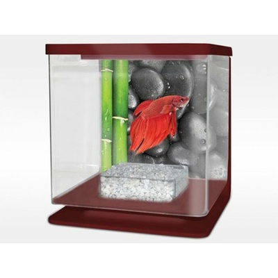 Cat-Gato Betarium Betta kit stones 2 l