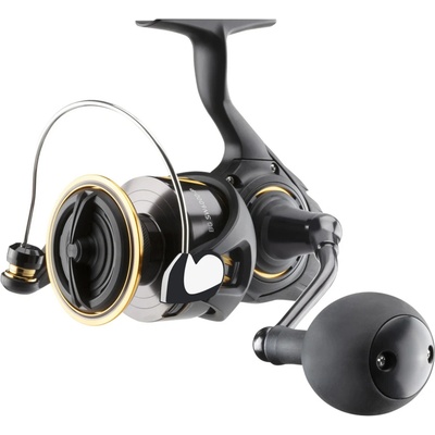 Daiwa 26 BG SW 6000-P
