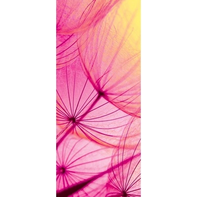 Preinterier Fototapeta - DV0220 - Fialová púpava Samolep. fólia - 91cm x 211cm