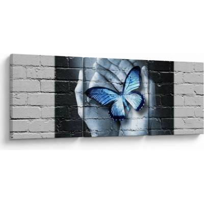 Obraz - Motýľ na stene, trojdielne 90x30 cm