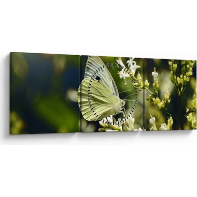 Obraz motýľa (s hodinami), trojdielne 90x30 cm s hodinami
