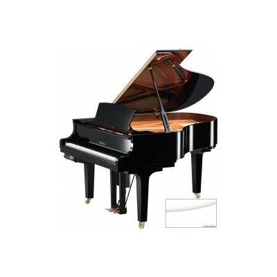 Yamaha DC2X EN PWH