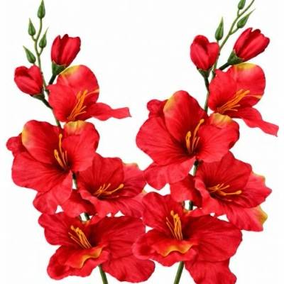 Umelá gladiola saténová červenozelená 54 cm