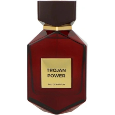 Camara Trojan Power parfémovaná voda pánská 100 ml