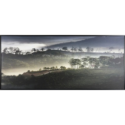 Obraz v rámu Shadow Style 59 x 134 cm