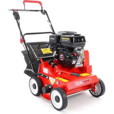 Weibang WB 384 RC