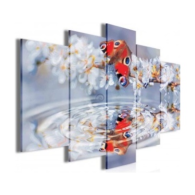Obraz na plátne viacdielny - OB3558 - Motýľ 100cm x 60cm - S17