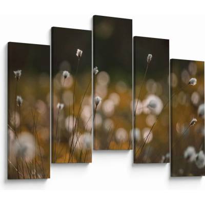 Obraz - Louka s cottongrass N⁰2, pětidílný 125x90 cm