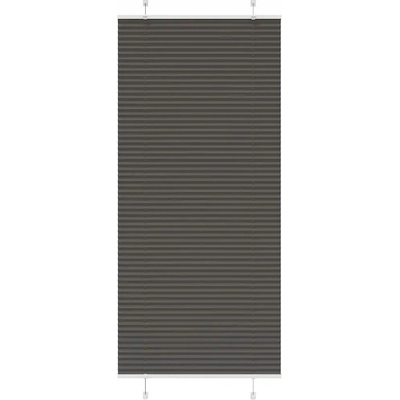 VidaXL Roleta plisé 100 x 200 cm černá