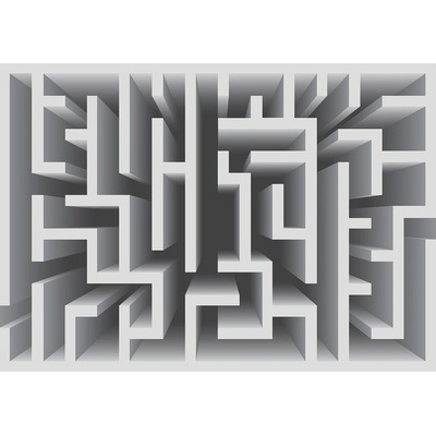 Preinterier FT2245 Fototapeta na stenu 3D - Labyrint – sivý vlies 416cm x 254cm