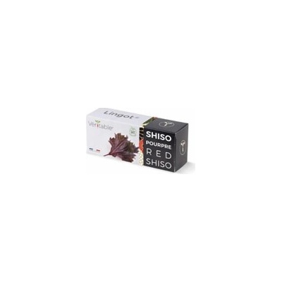 Véritable Lingot Fialový shiso BIO