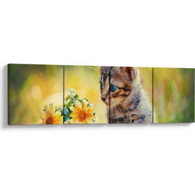 Obraz mačiatka pozerajúce sa na kvetinu, štvordielne 160x40 cm
