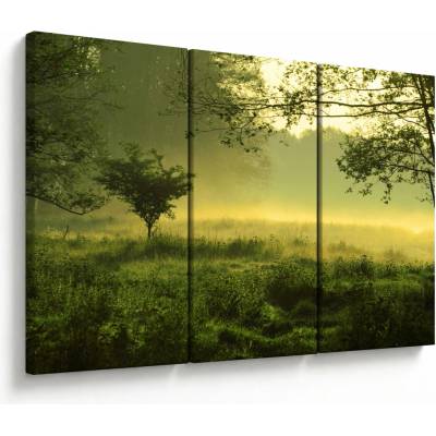 Obraz - Prebúdzajúci sa les, trojdielne 120x80 cm
