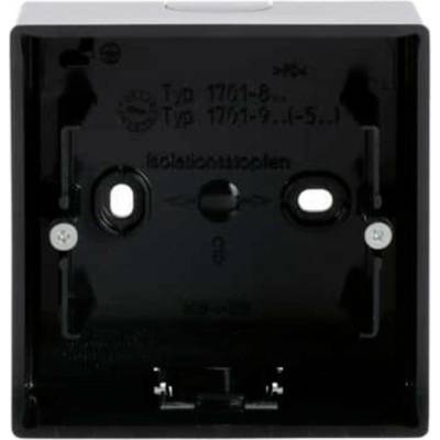 Busch-Jaeger 2CKA001799A0895
