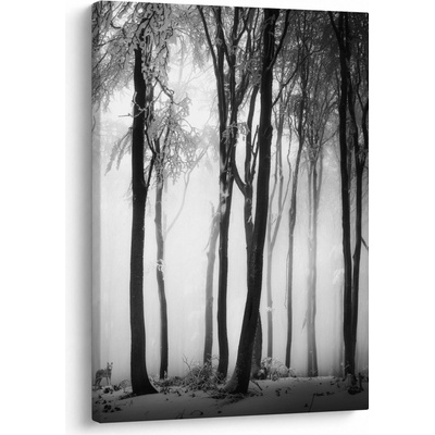 Obraz - Vlk v temnom lese, jednodielny 50x70 cm
