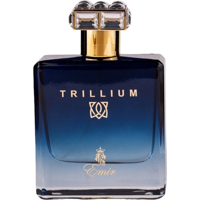 Emir Trillium parfumovaná voda pánska 100 ml