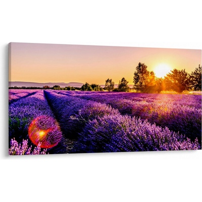 Obraz levanduľového pole, Provence, jednodielne 120x70 cm