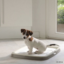 Savic Puppy Trainer Starter sada pre šteňatá M, vrátane 7 vložiek 50 M vložiek
