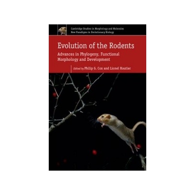 Evolution of the Rodents: Volume 5