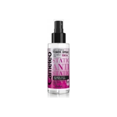 Delia Cosmetics Cameleo antistatický sprej pro nepoddajné vlasy 150 ml – Hledejceny.cz
