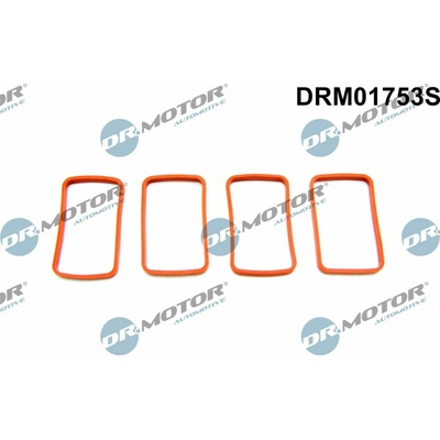 DR.MOTOR AUTOMOTIVE Sada tesnení kolena nasávacieho potrubia DRM01753S