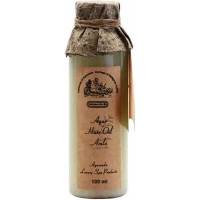 AyurTour Ayur vlasový olej AMLA 100 ml – Hledejceny.cz