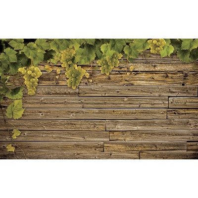 Preinterier FT3118 Fototapeta na stenu Vinič vlies 104cm x 70cm
