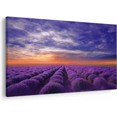 Obraz levandulového pole, jednodílný 120x80 cm
