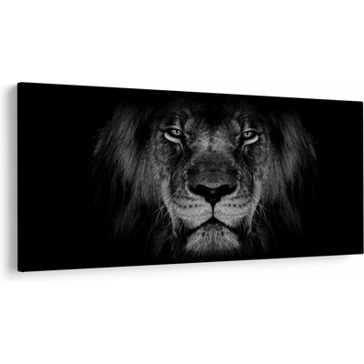 Obraz - Lev a jeho majestátnost, jednodílný 250x125 cm