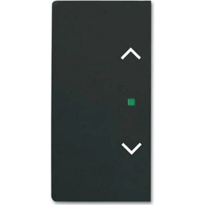 Busch-Jaeger 2CKA006220A0505