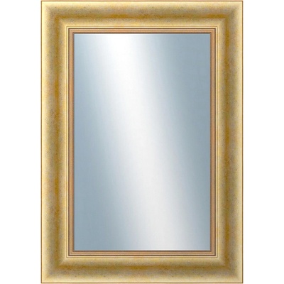 DANTIK KŘÍDLO 50x70 cm zlaté 2772