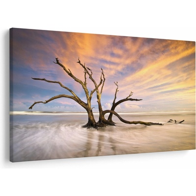 Obraz stromu v oceáne, jednodielne 150x100 cm