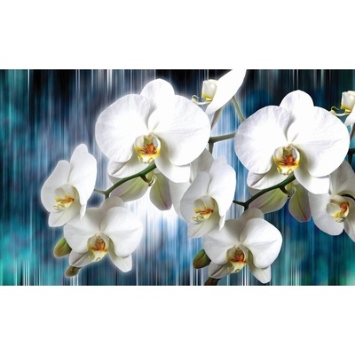 Preinterier FT2993 Fototapeta na stenu Biele kvety na modrom pozadí vlies 104cm x 70cm