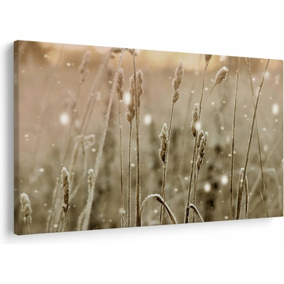 Obraz - Harmonická louka, jednodílný 120x80 cm