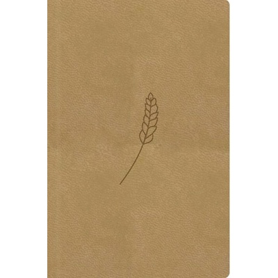 Bible21 kapesní Honey – Hledejceny.cz